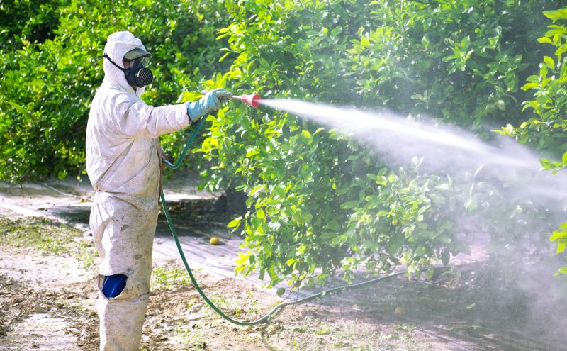 Commercial Fumigation in Santa Fe, NM
