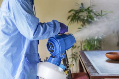 Fumigation Service in Wilmington, NC