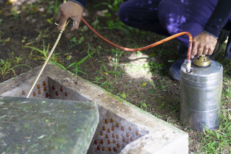 Roach Fumigation in Fort Myers, FL