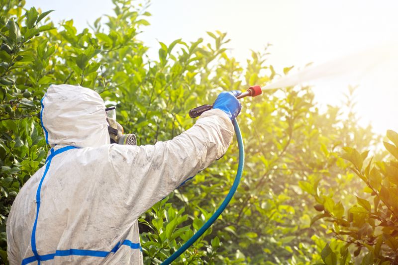 Commercial Fumigation in San Antonio, TX