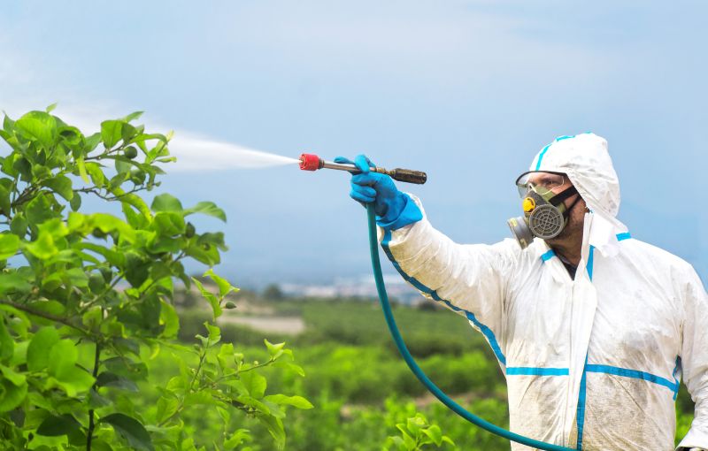 Pest Fumigation Service in Franklin, TN