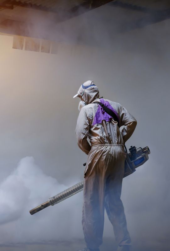 Rat Fumigation Service in West Palm Beach, FL