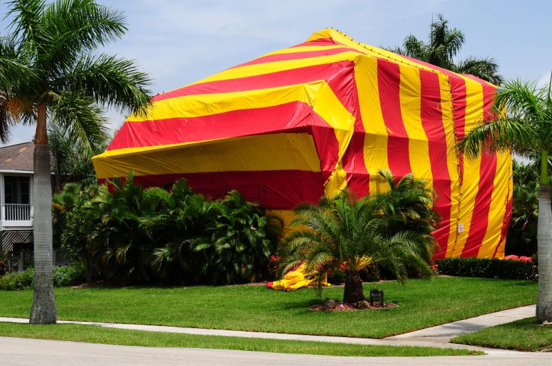 Termite Tenting in Wilmington, DE